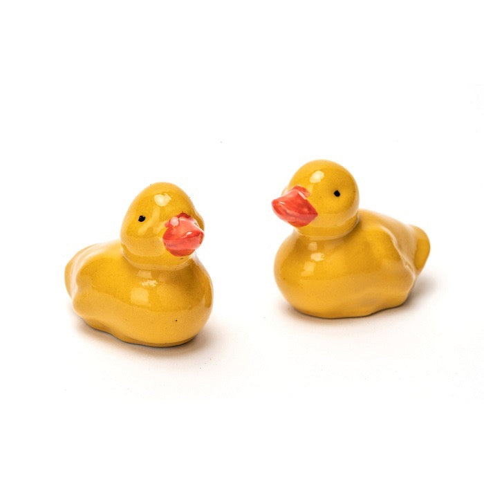 Floating Ducklings