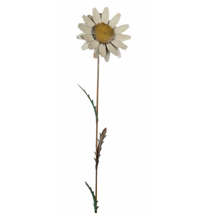White Daisy Stake (for pick-up only)