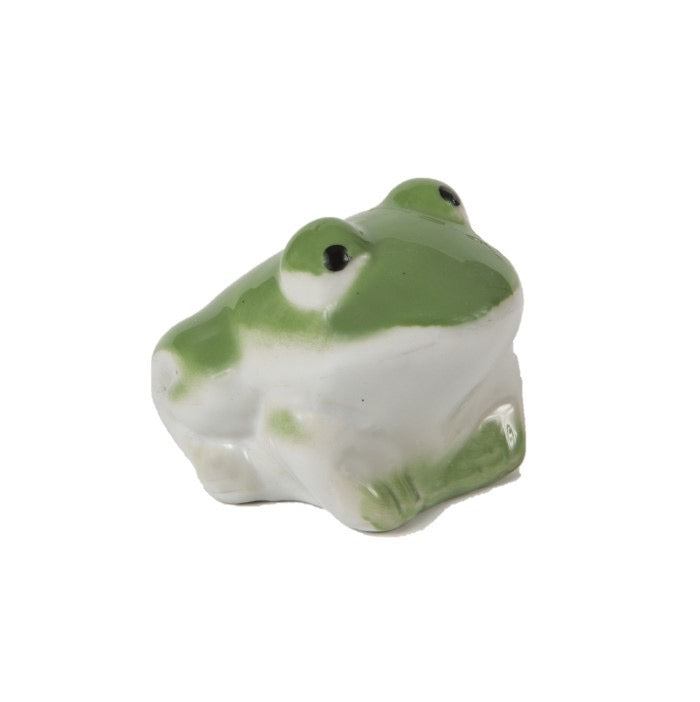 Floating Frog