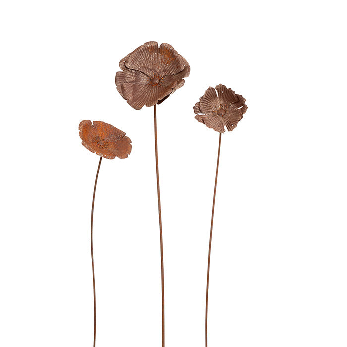Rust Poppies