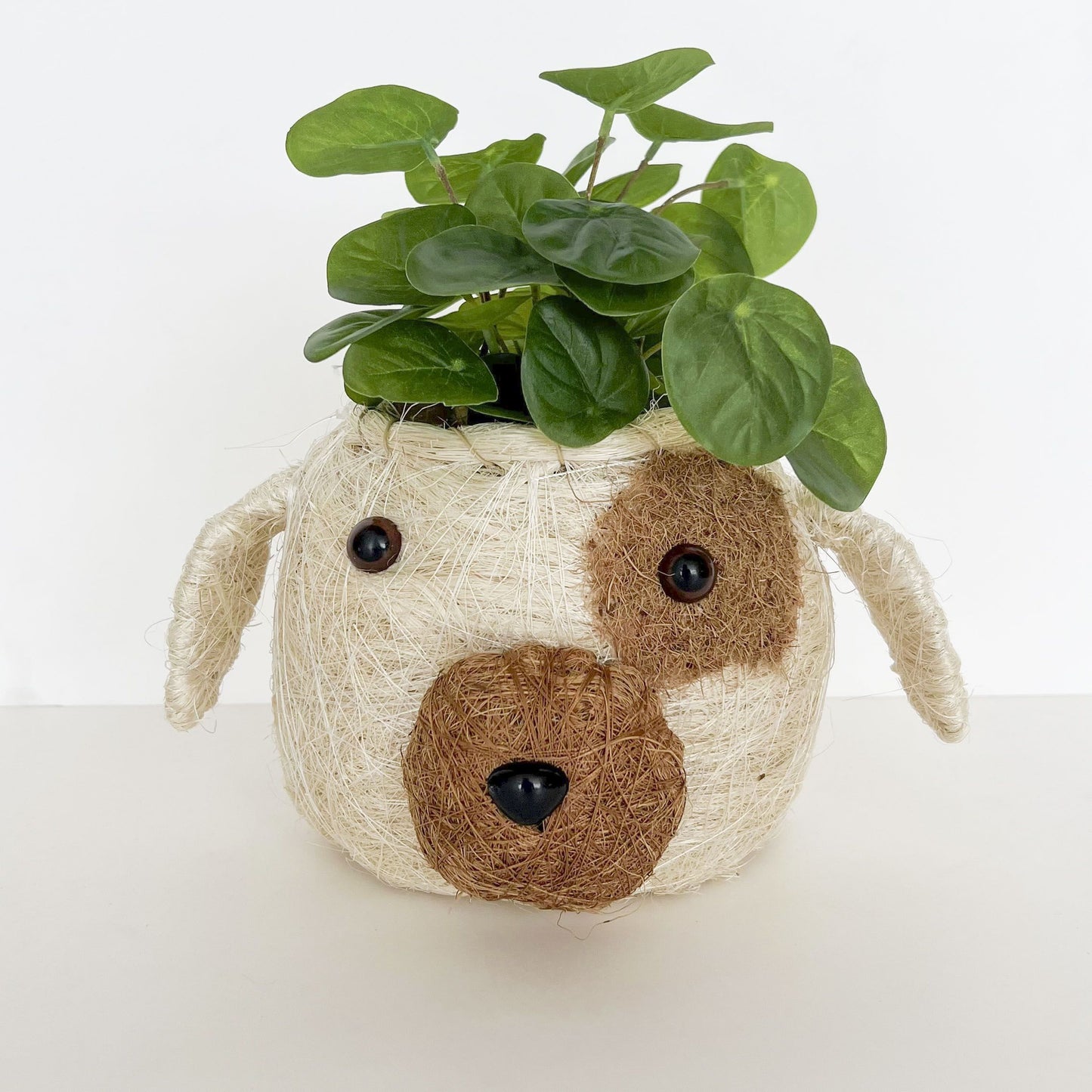 Husk Dog Head Planter