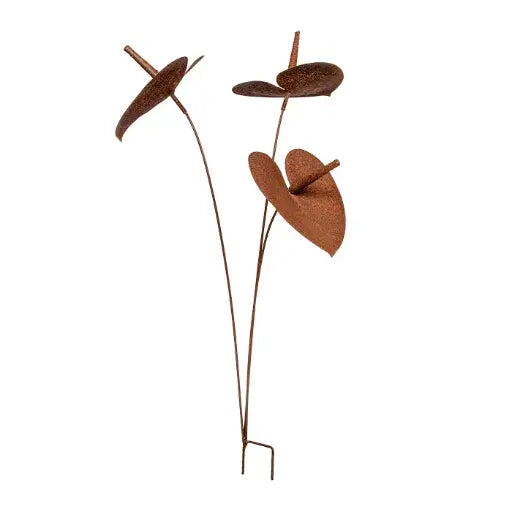 Anthurium Stake Rust (Pick-up only)