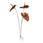 Anthurium Stake Rust (Pick-up only)