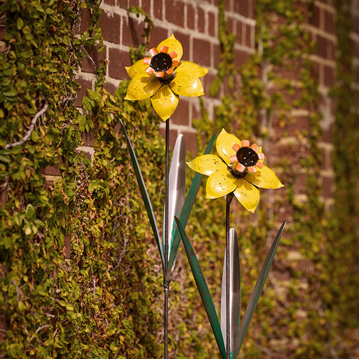 Daffodil Stake Yellow (Pick-up only)