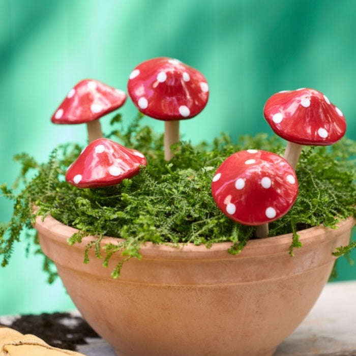 Mushroom Ceramic Small