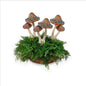 Mushroom Ceramic Double Brown
