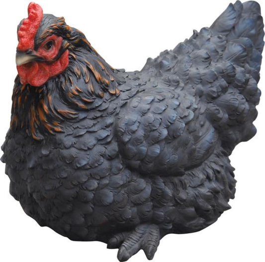 Black Hen