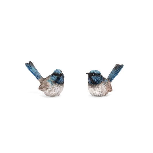 Blue Fairy Wren Without Feet