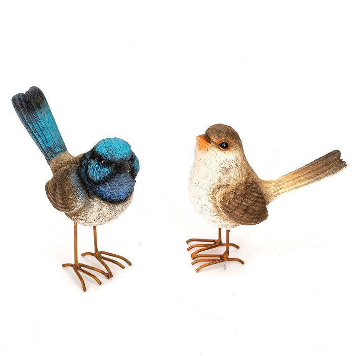 Brown Wren Large