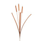 Bullrush Stake (Pick-up only)
