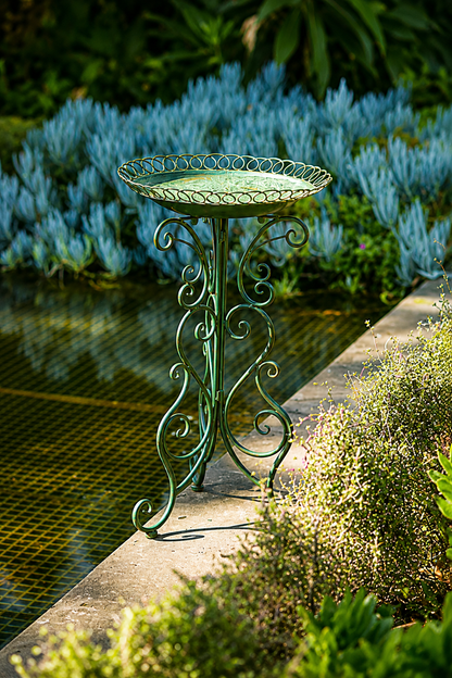 Florentine Bird Bath