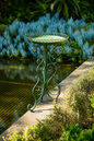 Florentine Bird Bath