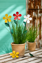 Colourful Simple Flower