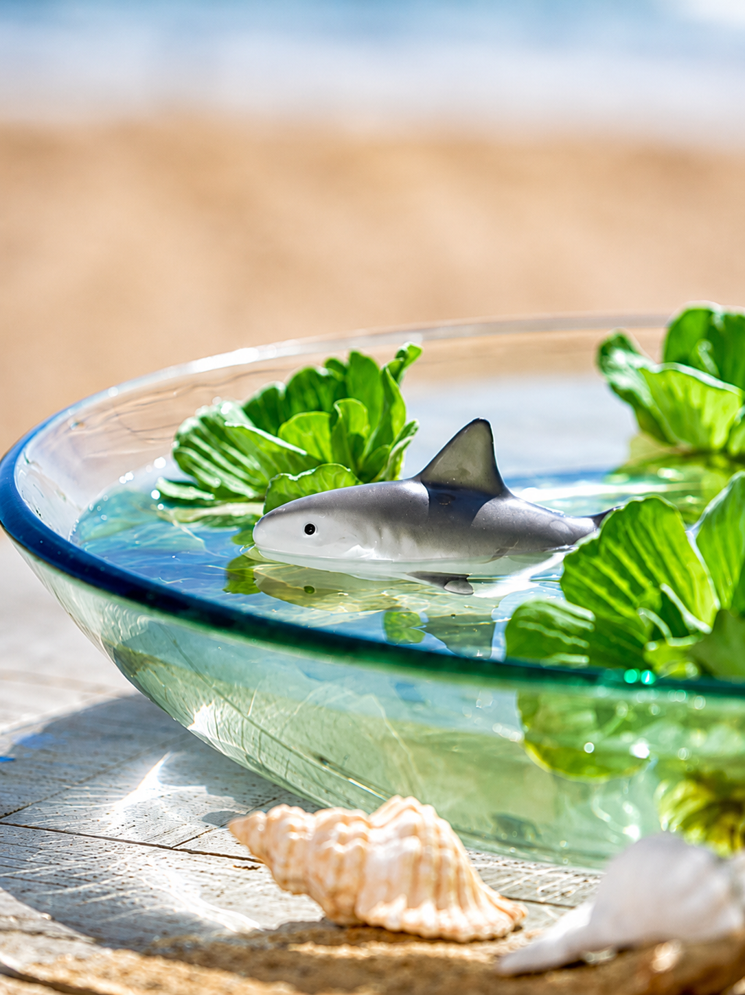 Floating Shark