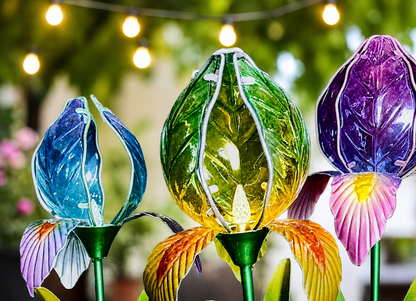 Iris Solar Lights