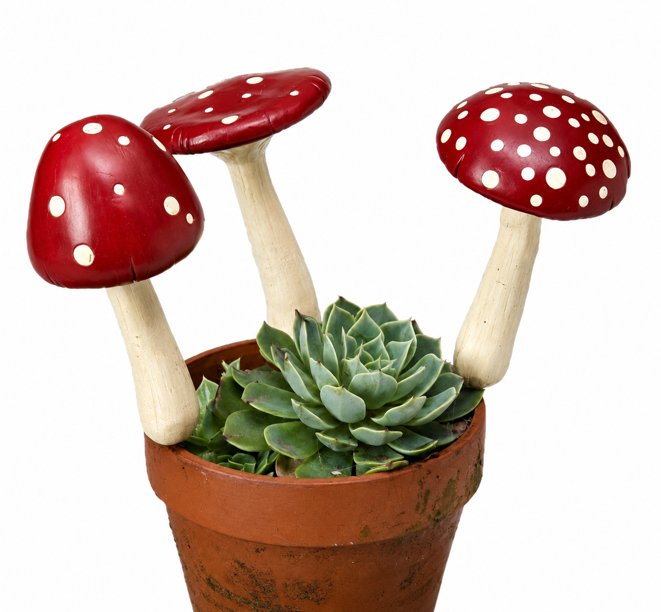 Mushroom Spike