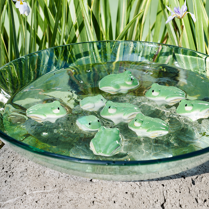 Floating Frog