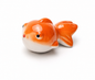Floating Fantail fish