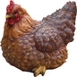 Dark brown hen