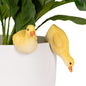 Duck Pot Sitter