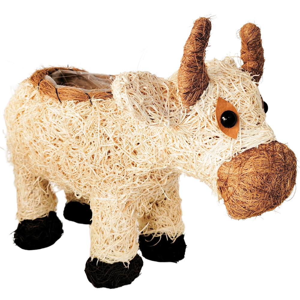 Husk Cow Planter