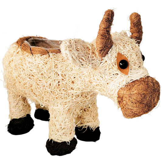 Husk Cow Planter
