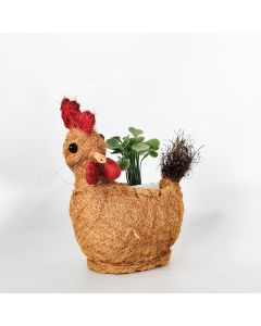 Husk Rooster Planter
