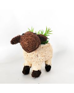 Husk Sheep Planter