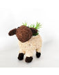 Husk Sheep Planter