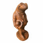 Frog Small