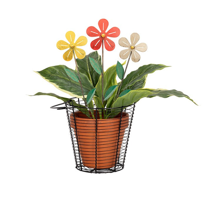Colourful Simple Flower