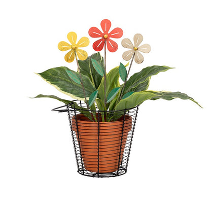 Colourful Simple Flower