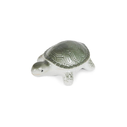 Floating Turtle
