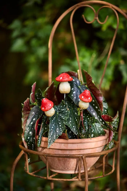 Mushroom Sticks