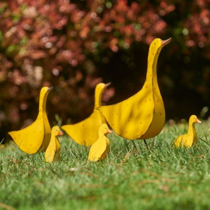 Yellow Duckling