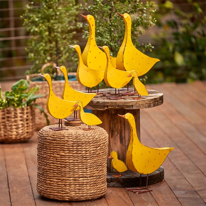 Yellow Duckling