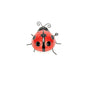 Red Ladybug