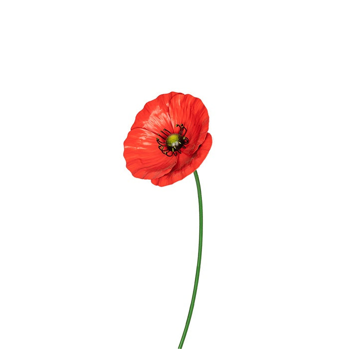 Red Poppy Stake