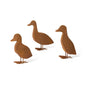 Rust Duckling