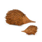Rust Echidna Large
