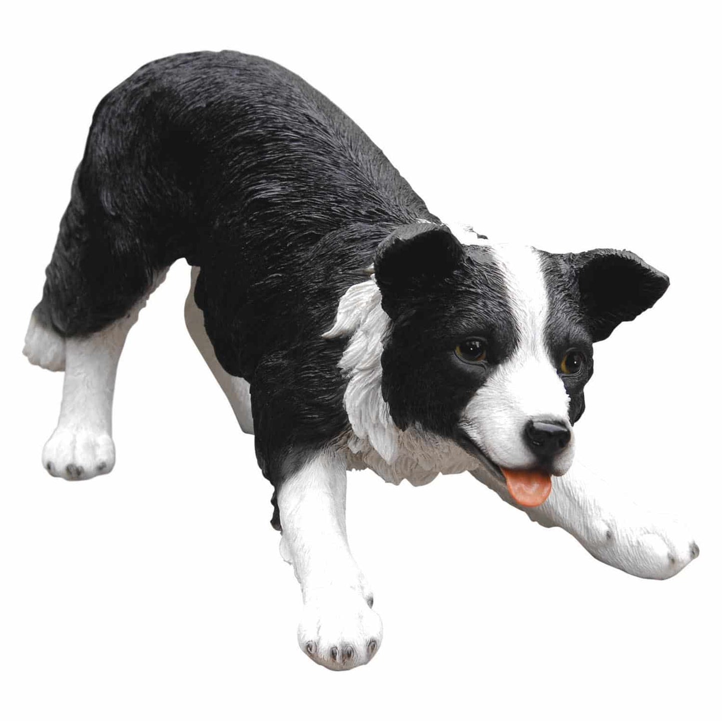 Sheepdog