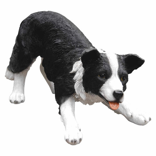 Sheepdog