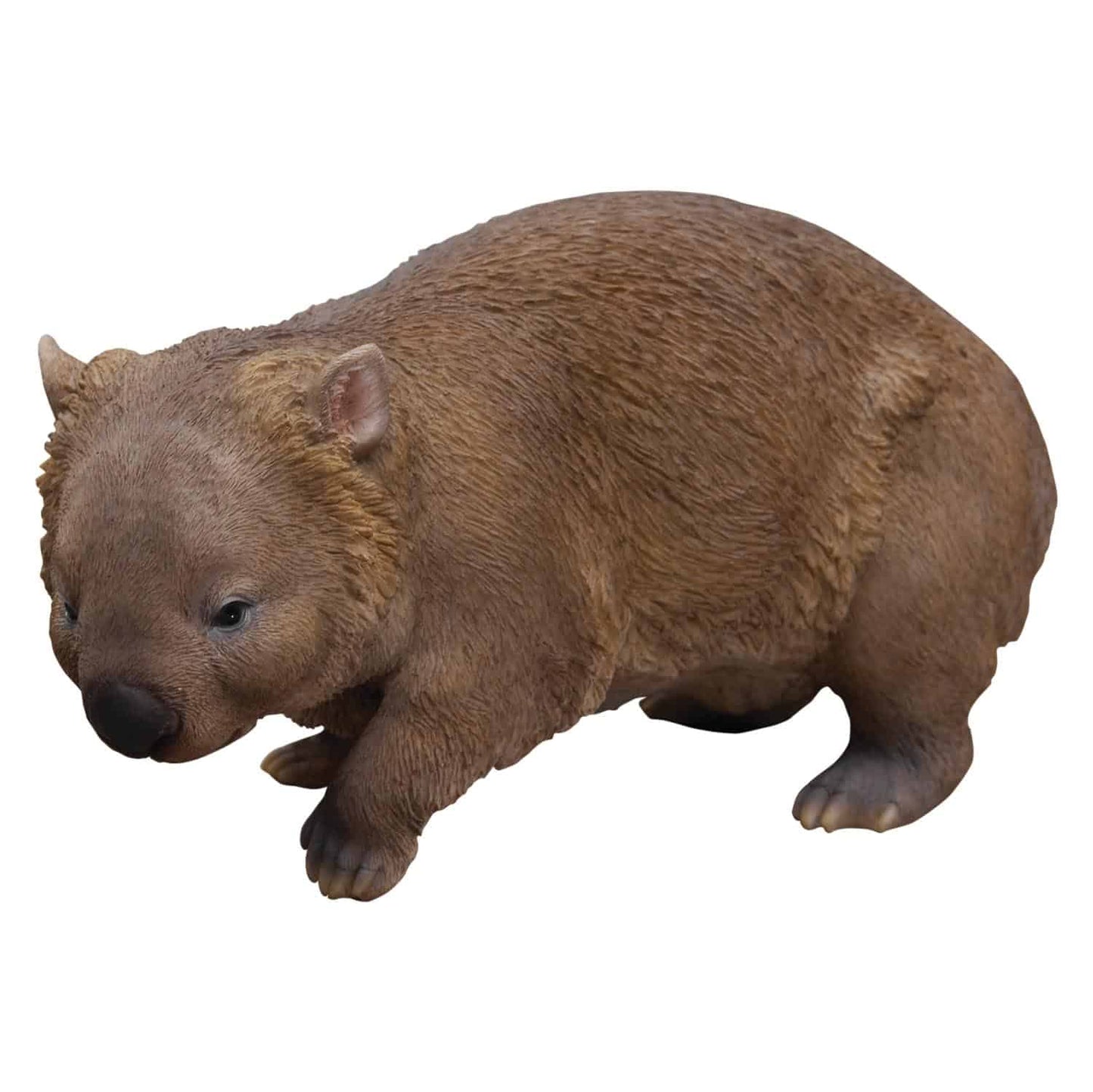 Wombat
