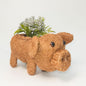 Husk Pig Planters